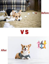 KUTKUT Cute Pet Dog Cat Plush Squeak Sound Dog Toys Funny Fleece Durability Chew Molar Toy Fit for All Pets (Pig+Elephant+Duck) - kutkutstyle